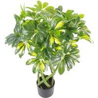 Leaf 70cm Artificial Twisted Stem Gold Capella Arboricola Artificial Plant Bonsai Bush in Green
