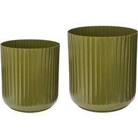 Ivyline Planters