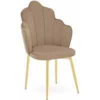 Orsina Tian Velvet Chair in Brown