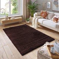 Soft Fluffy 5cm Thick Pile Shaggy Area Rugs for Living Room, Bedroom