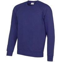 AWDis Men's Academy Crew Neck Raglan Sweatshirt in Purple | Size: Medium