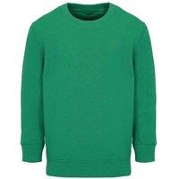 SOL'S Columbia Sweatshirt in Green | Size: 4 Years