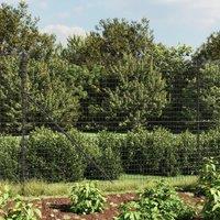 Berkfield Home Wire Mesh Fence Anthracite 2x25 m Galvanised Steel in Black