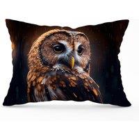 Warren Reed - Designer Tawny Owl Face Splashart Dark Background Cushions in Brown | Size: 45 cm x 45 cm