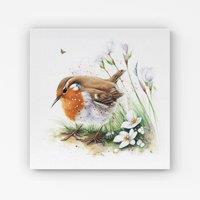 Warren Reed - Designer Robin & Daisies Watercolour Canvas in Brown | Size: w10 inch x h10 inch