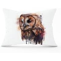 Warren Reed - Designer Tawny Owl Face Splashart Light Background Cushions in Brown | Size: 45 cm x 45 cm
