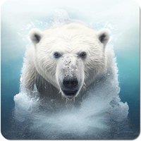 Warren Reed - Designer Polar Bear Splashart Coasters - Set of 4 in White
