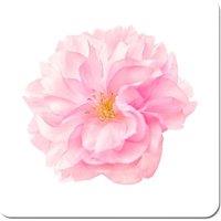 Warren Reed - Designer Single Cherry Blossom Coasters - Set of 4 in Pink