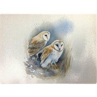 Warren Reed - Designer Barn Ano Owls Watercolour Glass Chopping Board in Brown