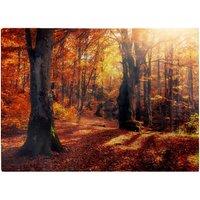Warren Reed - Designer Autumn Forest Glass Chopping Board in Brown