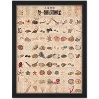 Artery8 Wall Art Print Kato Chikusai Species of Sea Life Shellfish Japan Large Framed Wall Dcor Art in Light Oak | Size: W18 x H24