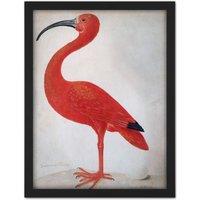 Artery8 Wall Art Print Merian Scarlet Ibis With Egg Nature Bird Painting Large Framed Wall Dcor Art in Light Oak | Size: W18 x H24