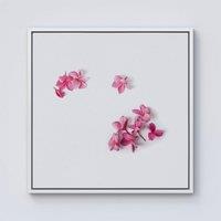Warren Reed - Designer Pink Frangipani Flowers Framed Canvas in Off-White | Size: W30 x H30