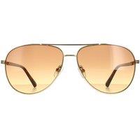 Aviator Gold Brown Gradient GU00043