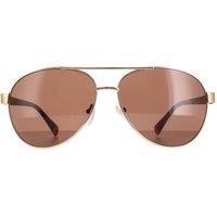 CALVIN KLEIN Men's Aviator Gold Brown CK19316S