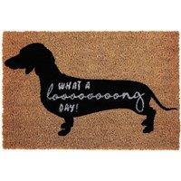 Orsina What A Long Day' Sausage Dog Doormat, Humorous Coir Mat With Dachshund Print & PVC Backing, Durable in Natural | Size: 100 cm diameter