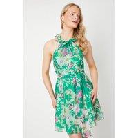 Lime Floral Organza Frill Halter Neck Mini Dress