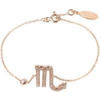 Latelita Women's Zodiac Horoscope Star Sign Bracelet Scorpio in Rose Gold
