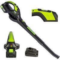 MYLEK Cordless Leaf Blower Two Speed 20V Li-ion Battery & Fast Charger in Black