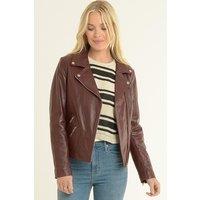 Ashwood Leather Women's 'Celia' Leather Fashion Biker Jacket Women Coat in Burgundy | Size: 24