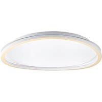 Modern Designer Satin Gold Plated LED Ceiling Light with Inner Opal Diffuser