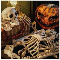 24Pcs Halloween Realistic Skull and Bone Skeleton Kit