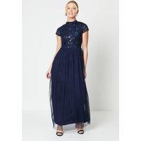 Debut London by Coast Cap Sleeve High Neck Mesh Skirt Maxi Dress