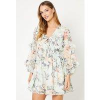 OASIS Sage Floral Chiffon Frill Balloon Sleeve Mini Skater Dress