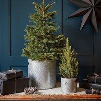 Indoor Christmas Tree Bucket or Kindling Storage in Galvanised Steel with Star - Dimensions: H23cm W