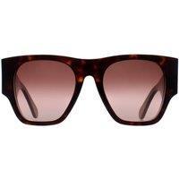 Chloe Women's Square Dark Havana Brown Gradient CH0233S