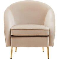 Mink Velvet Arm Chair, Luxury Velvet Upholstered Accent Chair, Comfortable Armchair for Home, Office