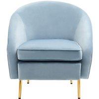 Orsina Mink Velvet Arm Chair, Luxury Velvet Upholstered Accent Chair, Comfortable Armchair for Home, Office in Blue