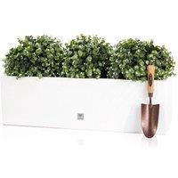 Primrose 80 x 24cm Gloss Fibreglass Trough Planter in White | Size: 80 x 24 cm