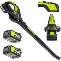 MYLEK Cordless Leaf Blower Two Speed & 2 x 20V Li-ion Battery & Fast Charger in Black
