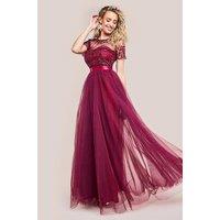 Goddiva Women's Embroidered Mesh Maxi Dress in Wine | Size: 10