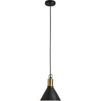 Nowek Black and Brass Ceiling Pendant Shade with LED Bulb