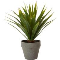 Orsina Fiori Agave Succulent, Cement Effect Pot in Grey