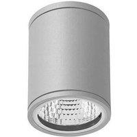 Netlighting Orion LED Outdoor Surface Mounted Wall Light Grey IP54