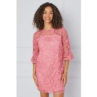Wallis Women's Petite Ruffle Sleeve Shift Dress in Pink | Size: 18