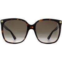 Gucci Women's Cat Eye Havana Grey Gradient Sunglasses in Brown