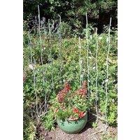 Inspirational Gifting Pair of Verdigris Bird & Leaf Trellis in Green