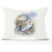 Warren Reed - Designer Barn Ano Owls Watercolour Cushions in Brown | Size: 33 cm x 48 cm
