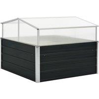 Berkfield Home Greenhouse Anthracite 100x100x77 cm Galvanised Steel in Black | Size: 100 x 100 x 77 cm