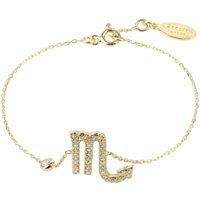 Latelita Women's Zodiac Horoscope Star Sign Bracelet Scorpio in Gold