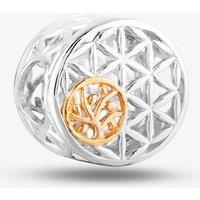 Rosa Lea Women's Triangle Cut-Out Tree Of Life Charm AM-2THB016507 in Silver