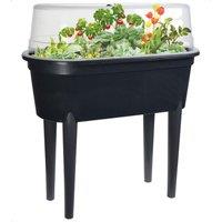 idooka Mini Greenhouse Propagator Raised Planter Garden Flower Herb Anthracite in Dark Grey