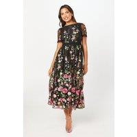 Coast Women's Lace Trim Detail Embroidered Mesh Midi Dress in Black | Size: 10