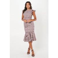 Coast Women's Frill Sleeve Lace Flute Hem Dress in Mauve | Size: 10