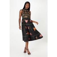 Coast Women's Premium Embroidered High Neck Midi Wedding Guest Dress in Black | Size: 8