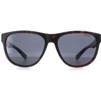 Polaroid Men's Round Matte Havana Blue Grey Polarized PLD 2156/S in Brown